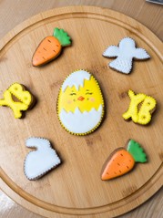 Курчатко у шкарлупці