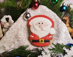 Новорічний гість