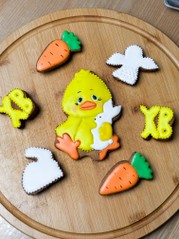 Сонячне курчатко