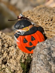 Гарбузик Джек